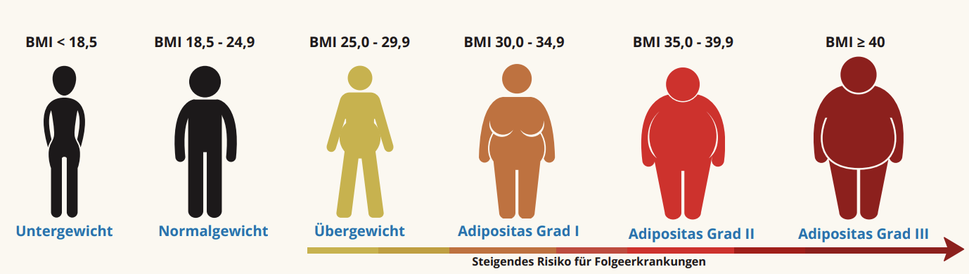 Grafik, welche die unterschiedlichen Stufen der BMI-Einteilung darstellt